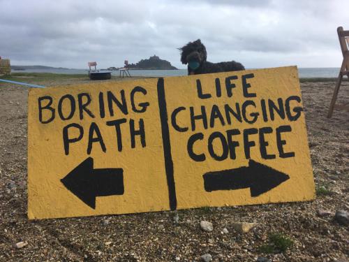 Dog chooses coffee