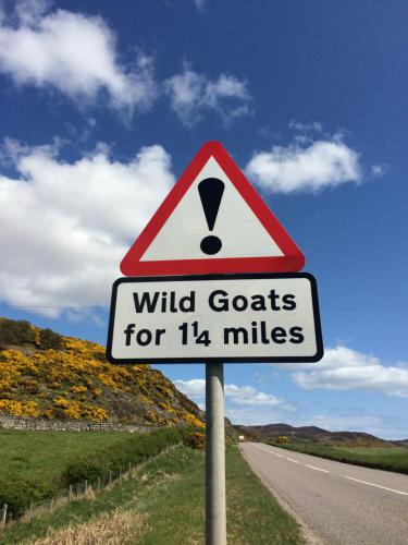 Road signs.