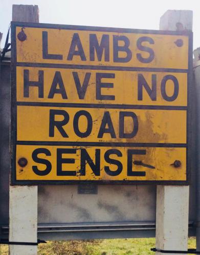Road signs.